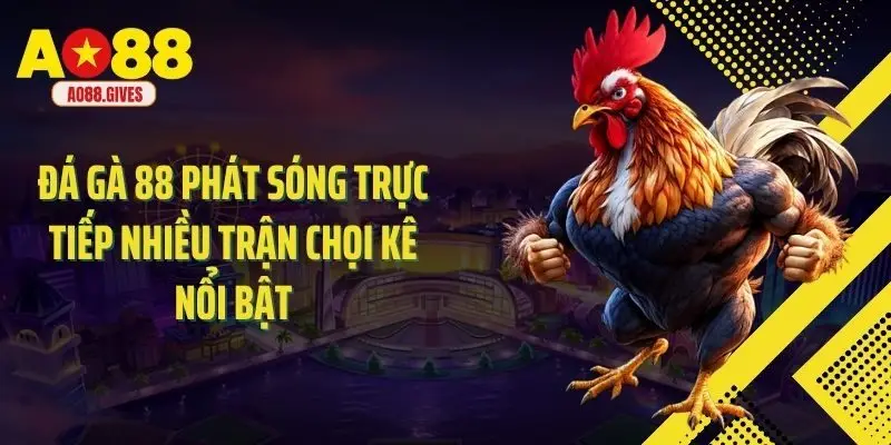 Đá gà 88 phát sóng trực tiếp nhiều trận chọi kê nổi bật