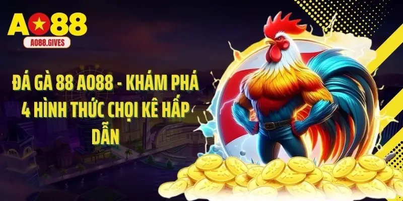 Đá Gà 88 Ao88 - Khám Phá 4 Hình Thức Chọi Kê Hấp Dẫn
