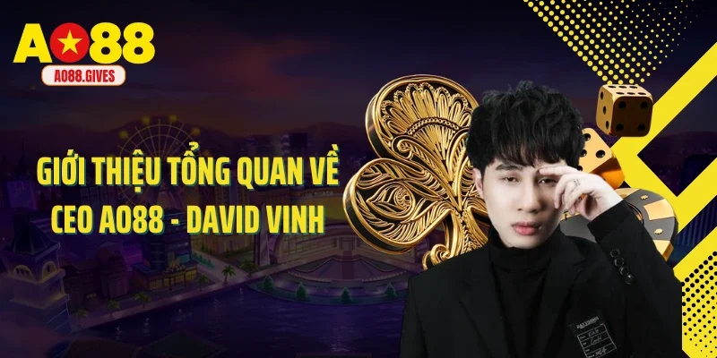 Giới thiệu tổng quan về CEO AO88 - David Vinh