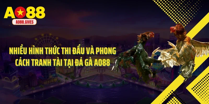 Nhiều hình thức thi đấu và phong cách tranh tài tại đá gà AO88