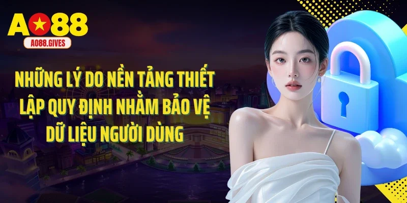 Những lý do nền tảng thiết lập quy định nhằm bảo vệ dữ liệu người dùng