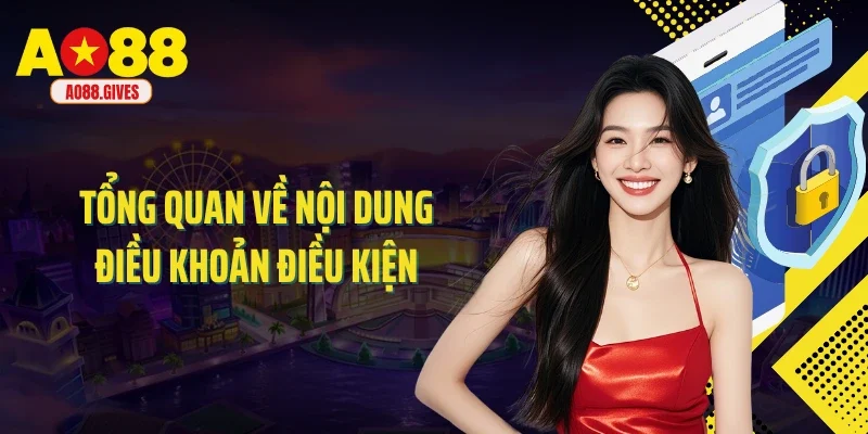 Tổng quan về nội dung điều khoản điều kiện 